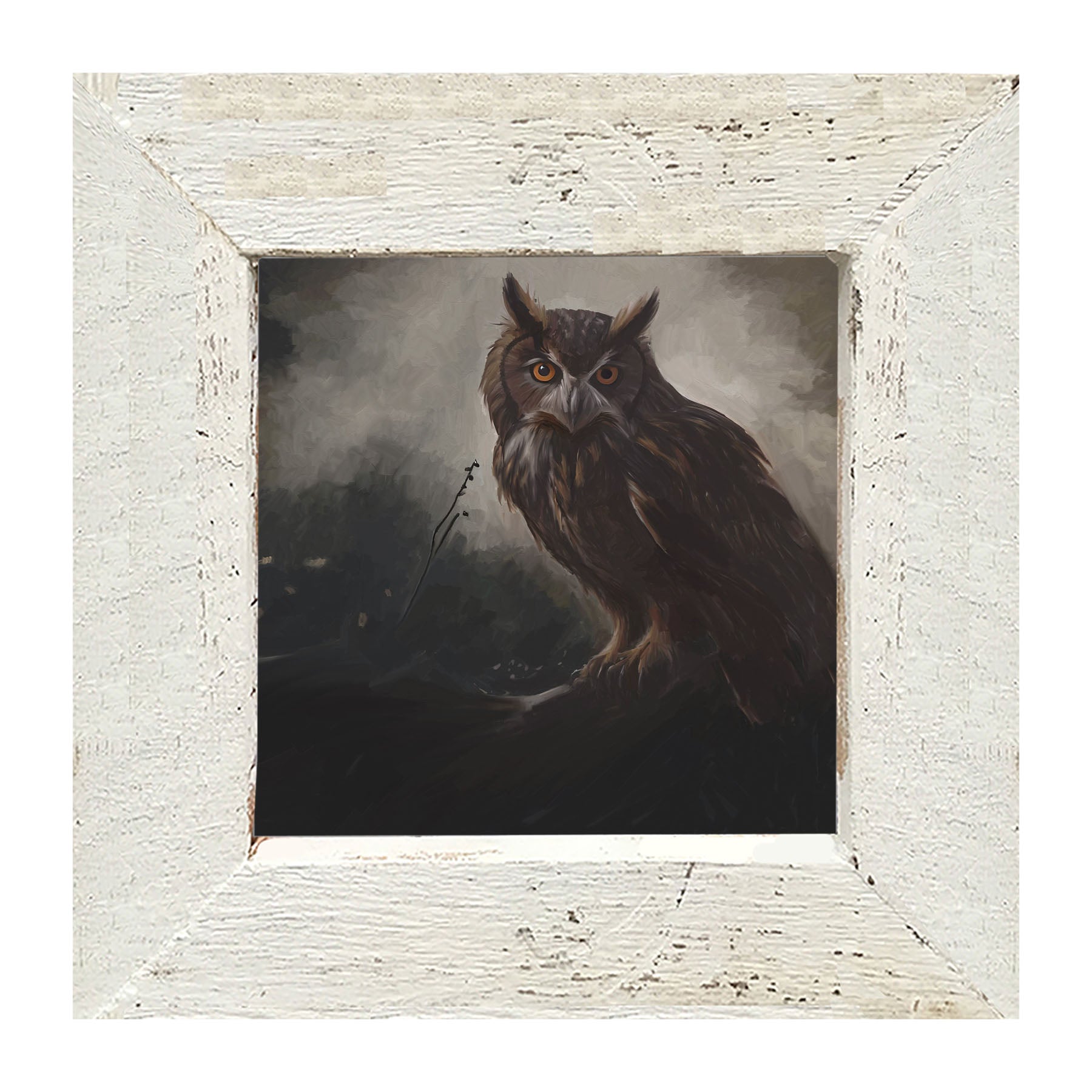 Night Owl - Framed Art