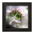 Framed Art