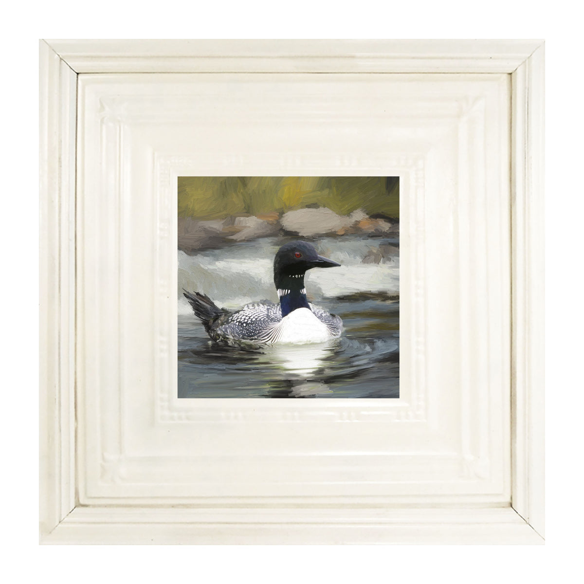 Loon in the Water