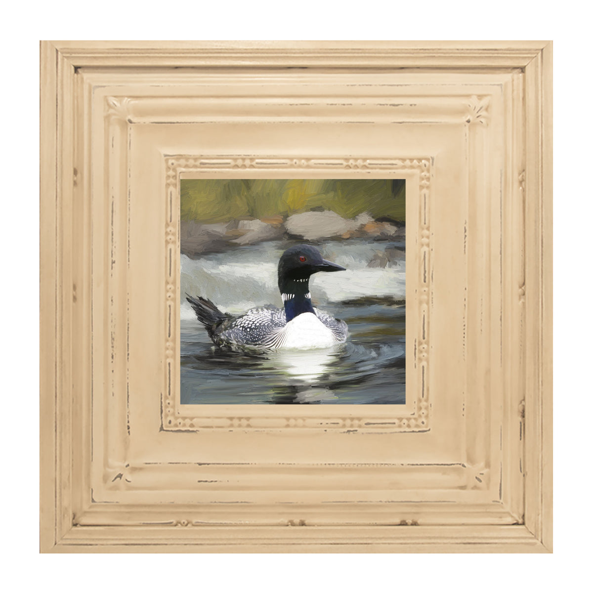 Loon in the Water