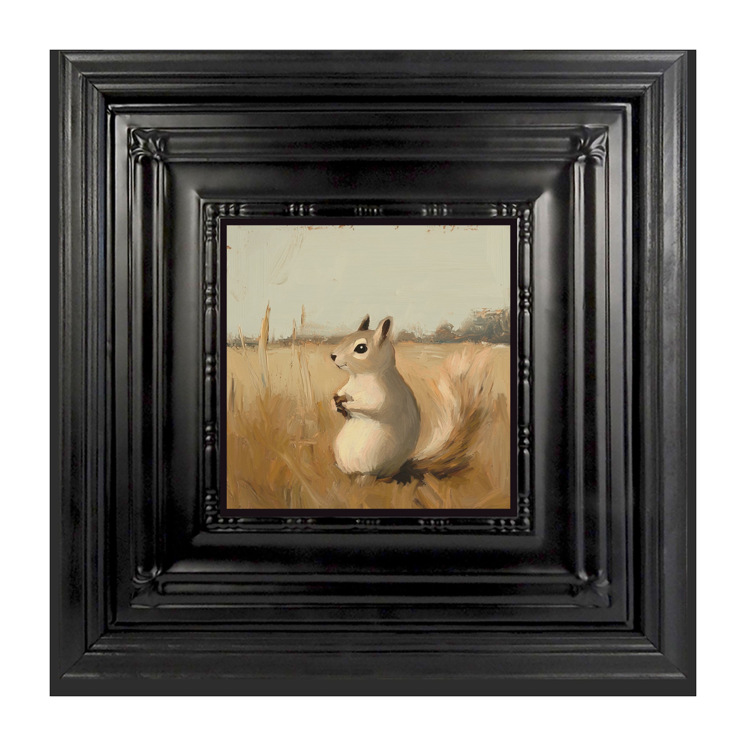 Squirrel in Field