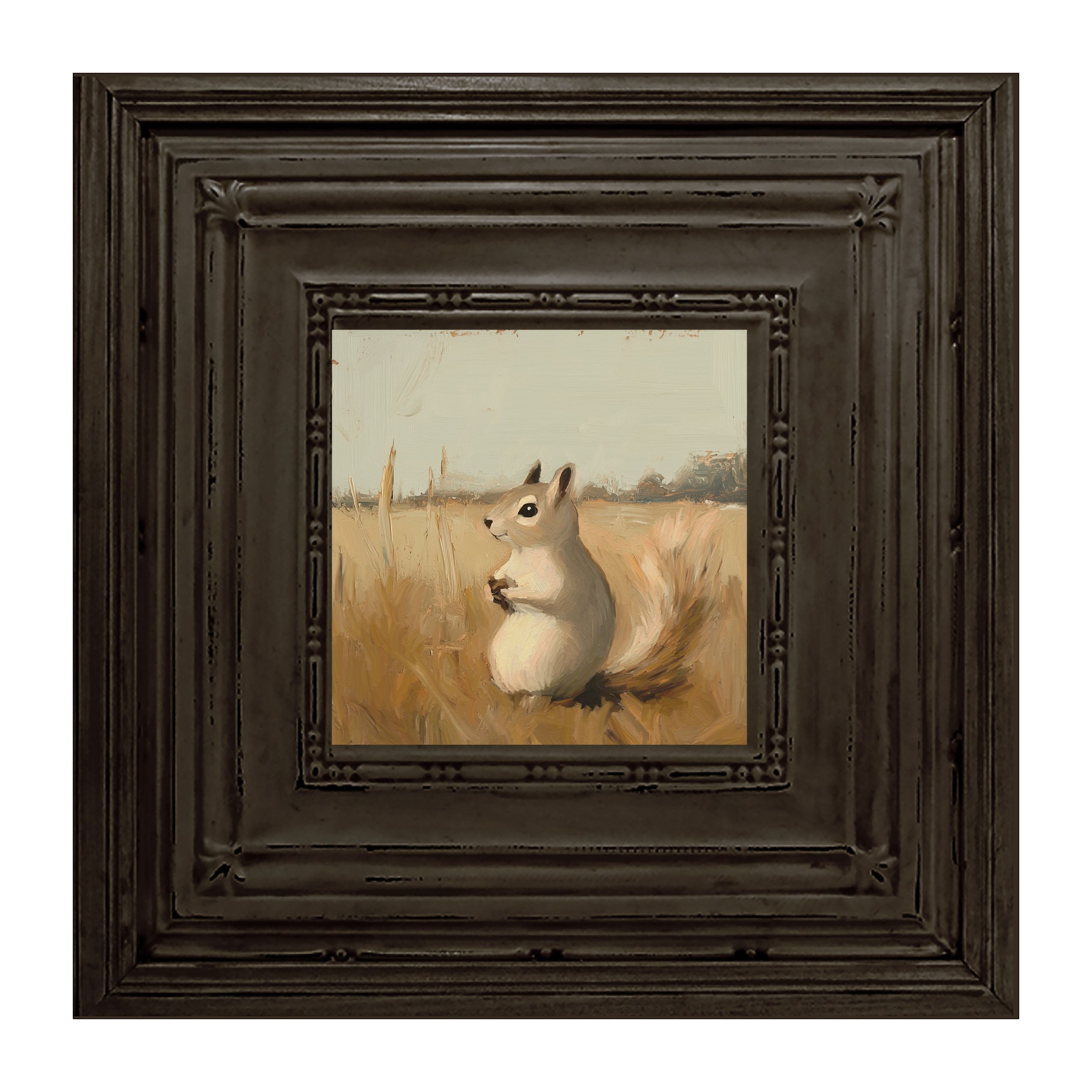 Squirrel in Field