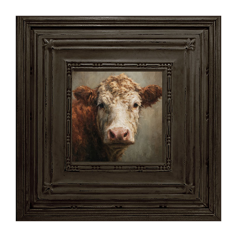 Farm Life Portrait - Brown and White Cow Close-up