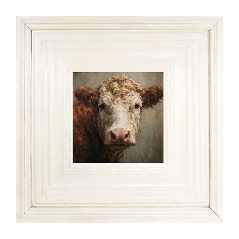 Farm Life Portrait - Brown and White Cow Close-up