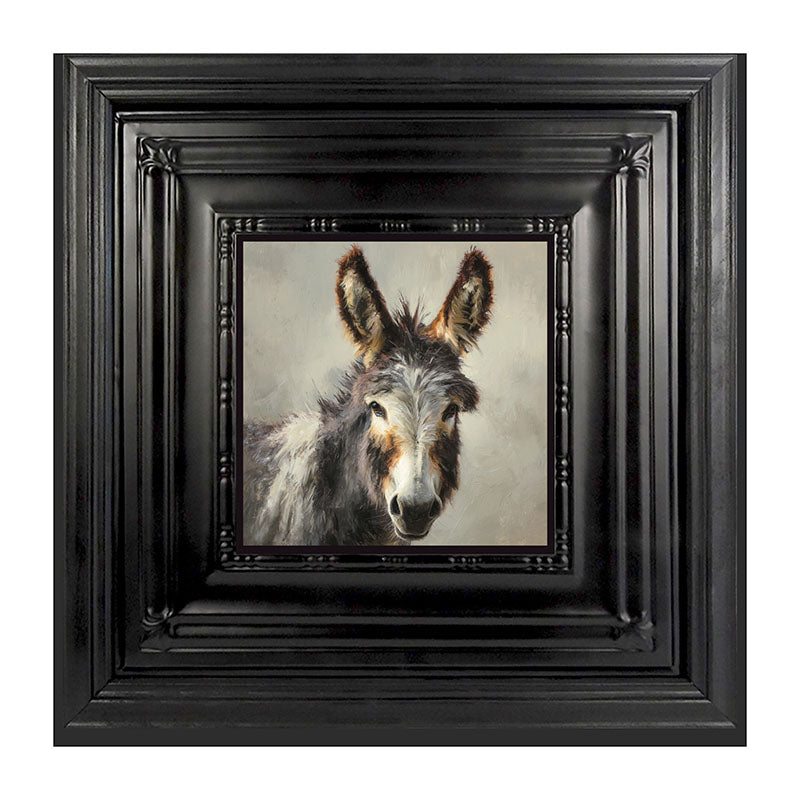 Farm Life Portrait - Donkey Close-up