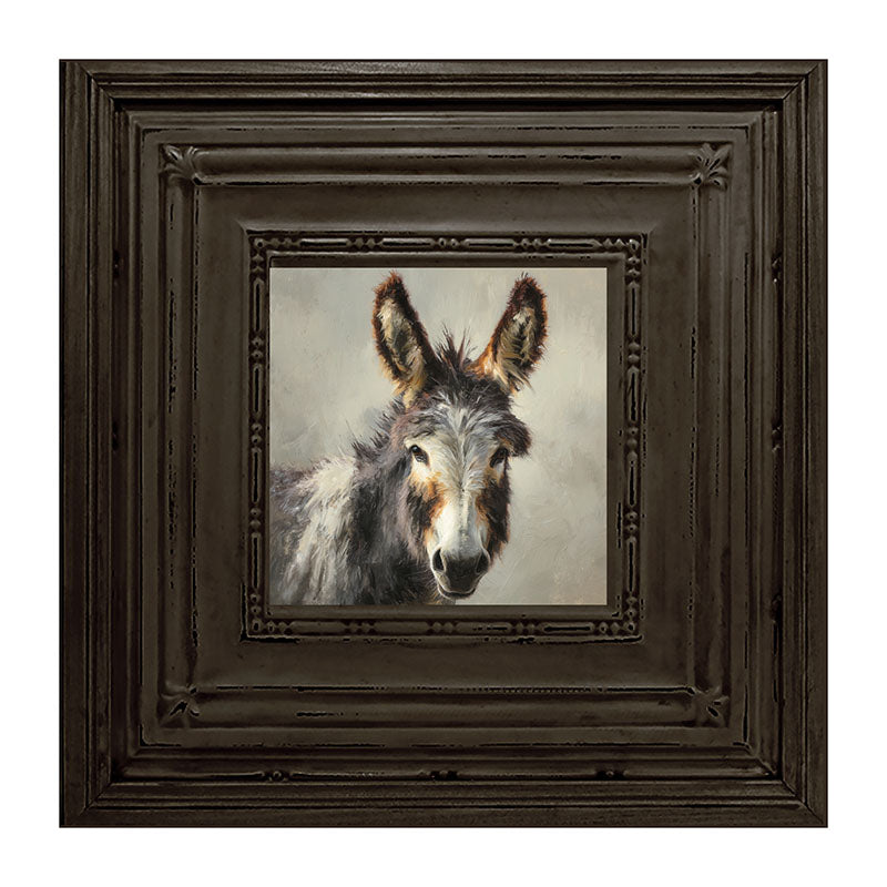 Farm Life Portrait - Donkey Close-up