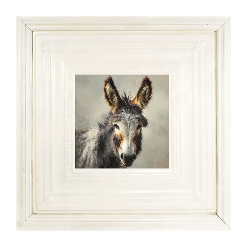 Farm Life Portrait - Donkey Close-up