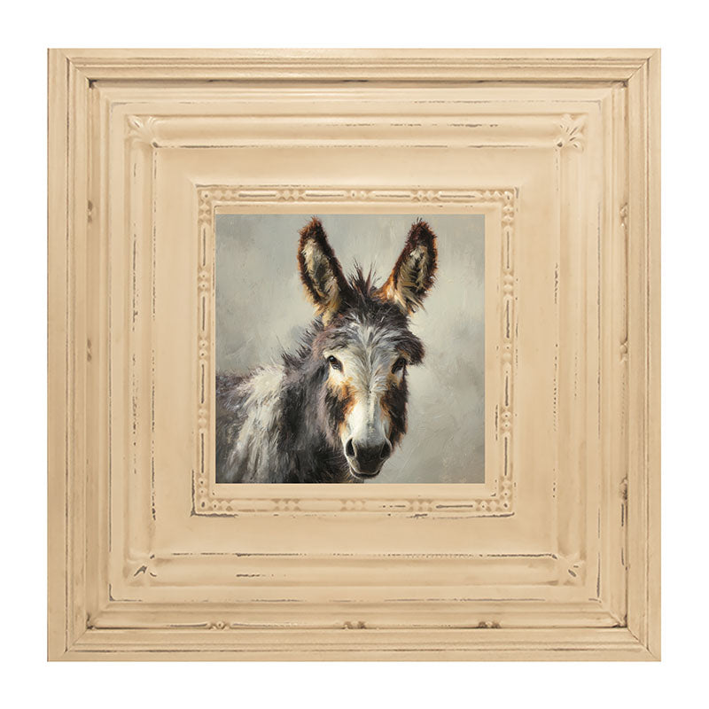 Farm Life Portrait - Donkey Close-up