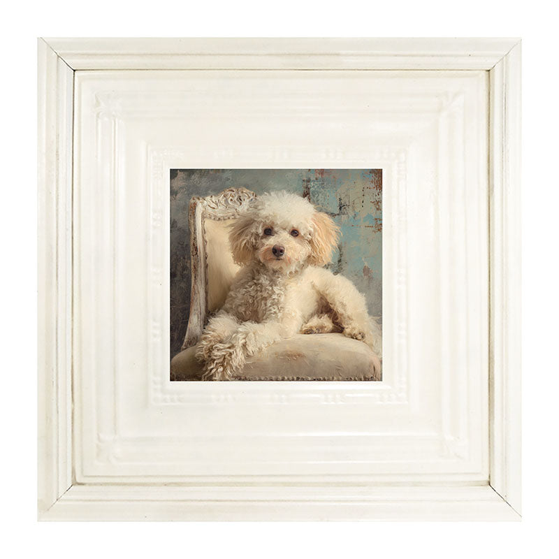 Armchair with Toy Poodle Dog