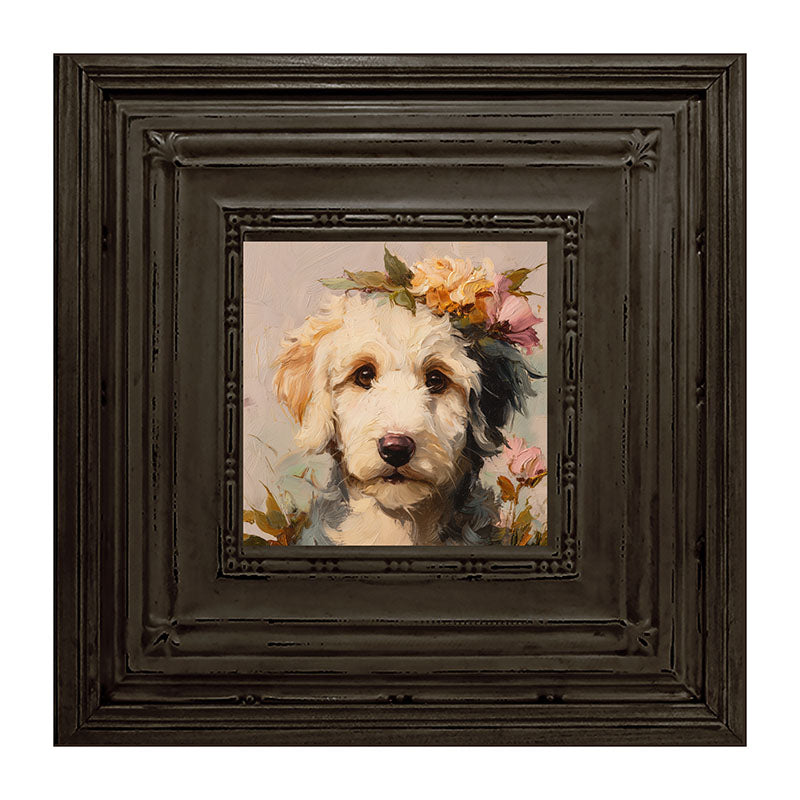 Spring Season White Labradoodle