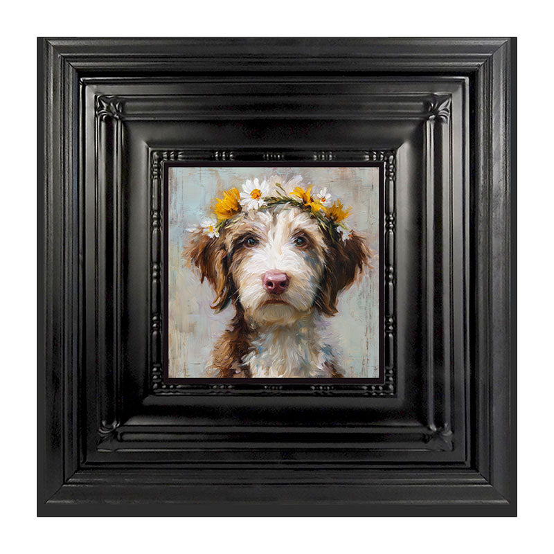 Spring Season Brown and White Labradoodle