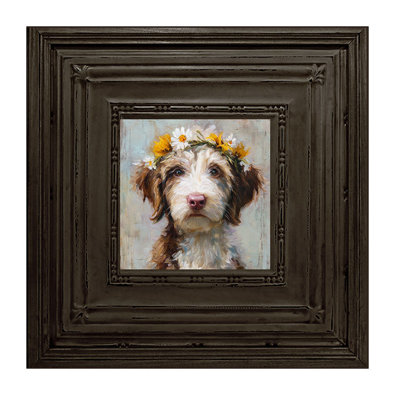 Spring Season Brown and White Labradoodle