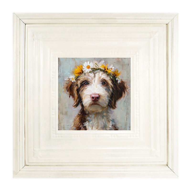 Spring Season Brown and White Labradoodle