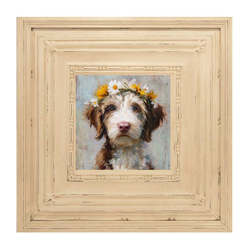 Spring Season Brown and White Labradoodle