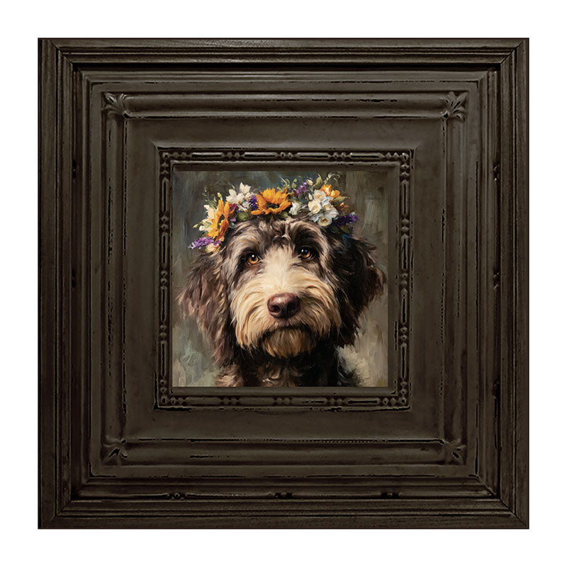 Spring Season Black Labradoodle