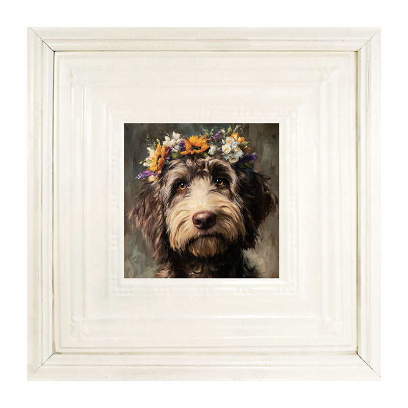 Spring Season Black Labradoodle