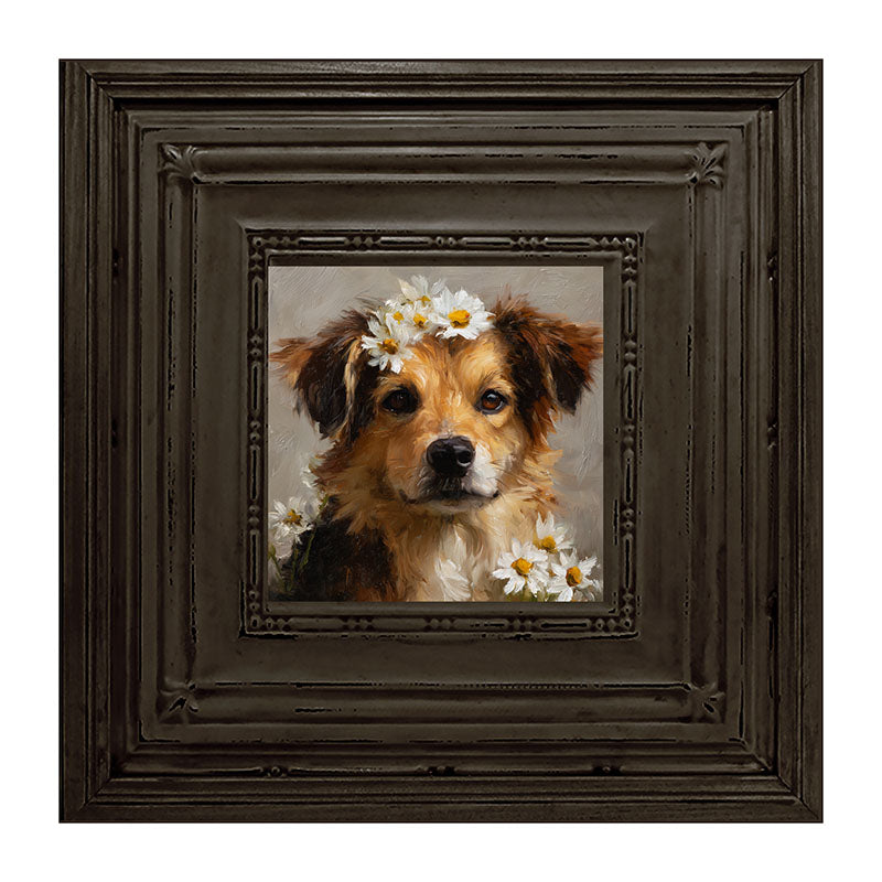 Spring Season Tan Dog