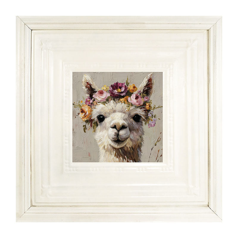 Spring Season Alpaca