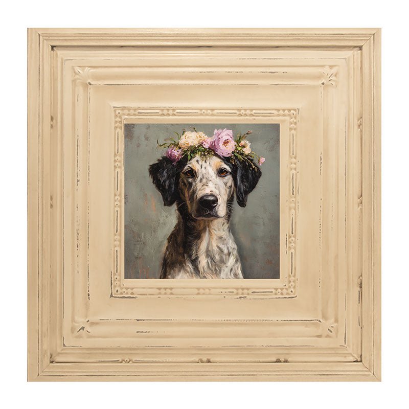 Spring Season Black-Eared Dog