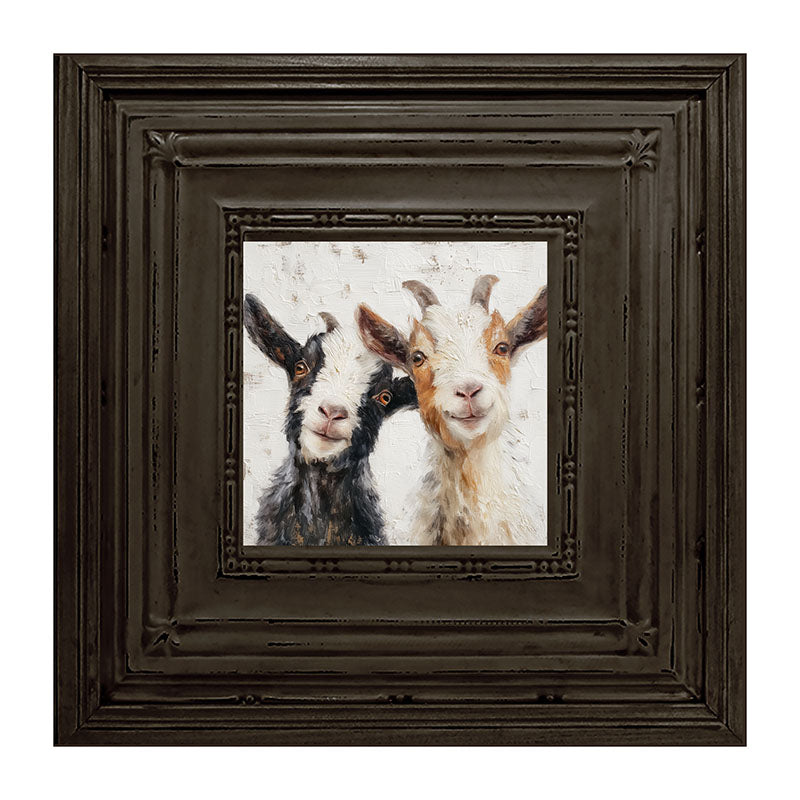 Animal Buddies - Posing Goats