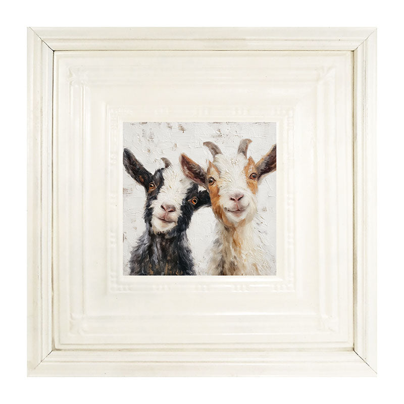 Animal Buddies - Posing Goats
