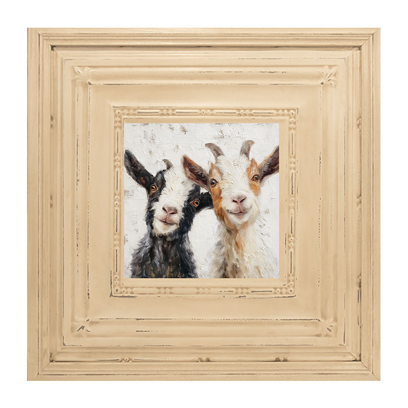 Animal Buddies - Posing Goats