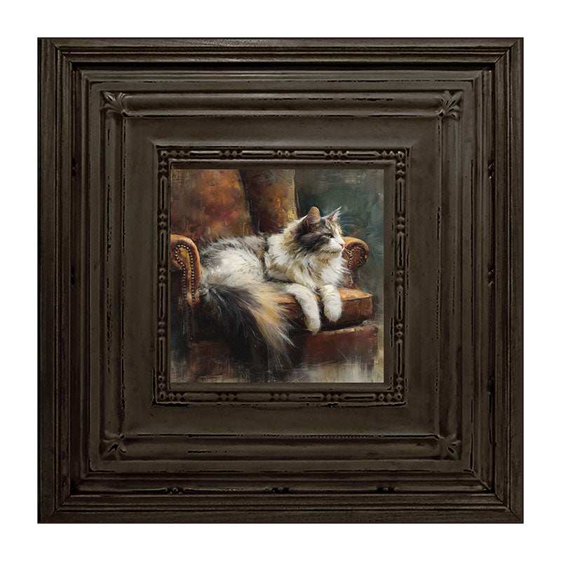 Armchair with Long Haired Cat