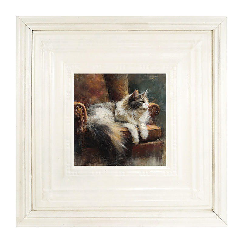 Armchair with Long Haired Cat