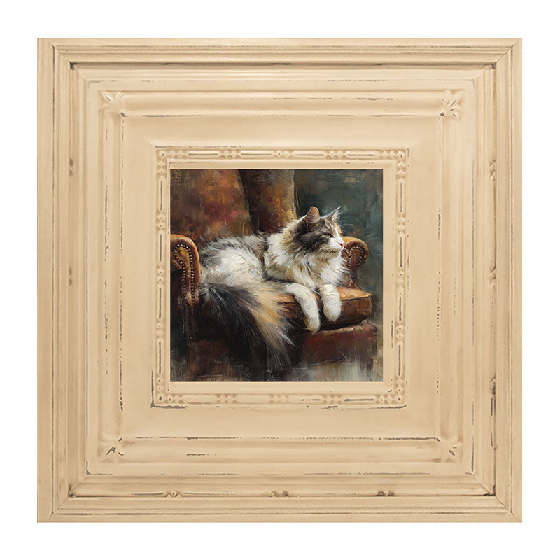 Armchair with Long Haired Cat