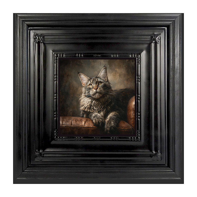 Armchair with Maine Coon Cat