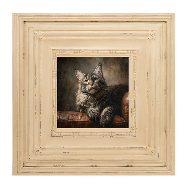 Armchair with Maine Coon Cat