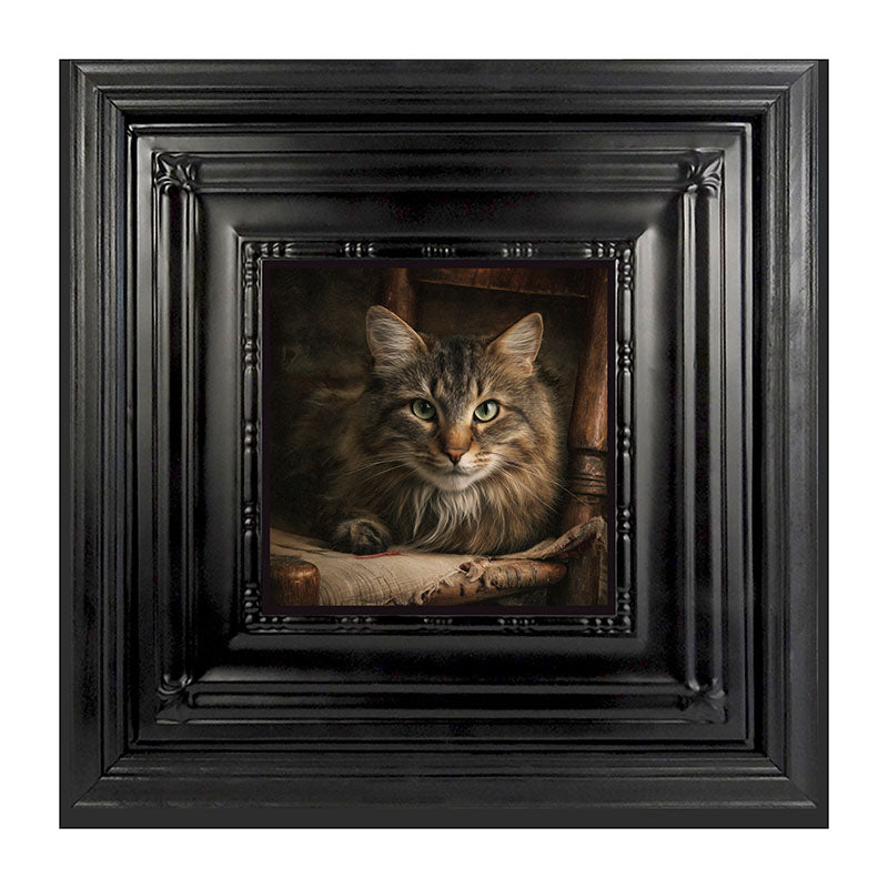 Armchair with Norwegian Forest Cat