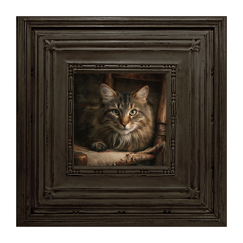 Armchair with Norwegian Forest Cat