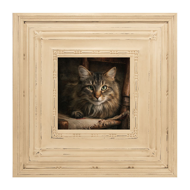 Armchair with Norwegian Forest Cat