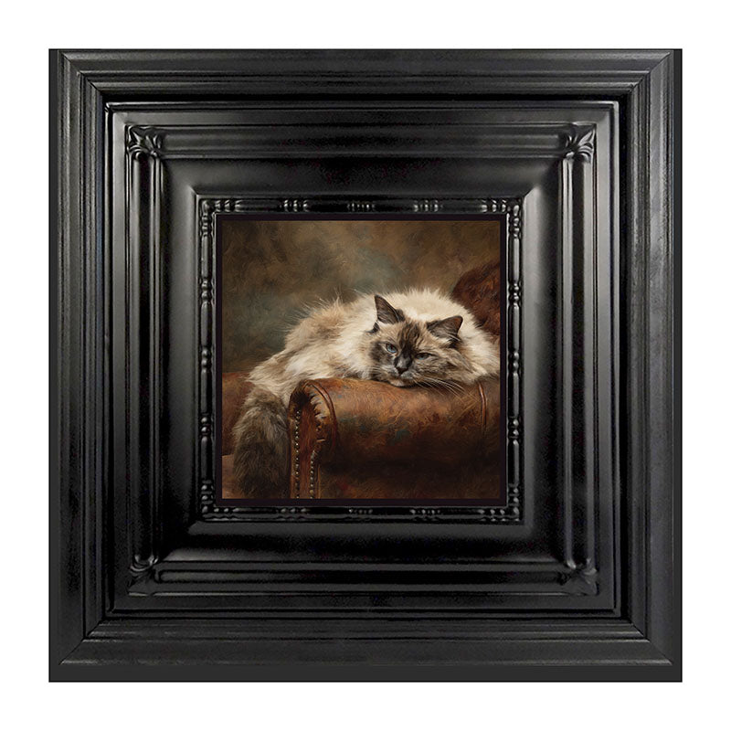 Armchair with Ragdoll Cat