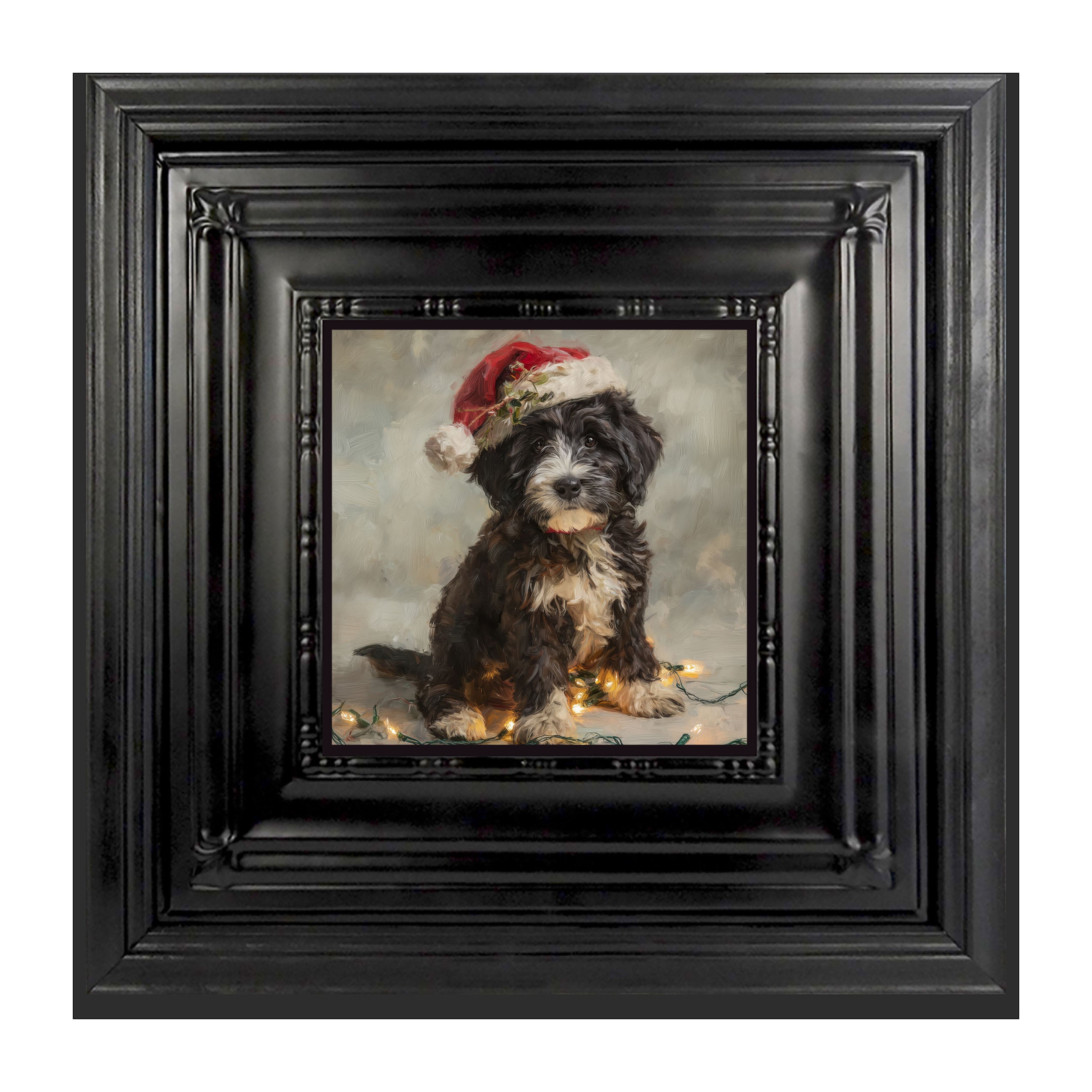 Christmas Lights with Furry Black and White Dog