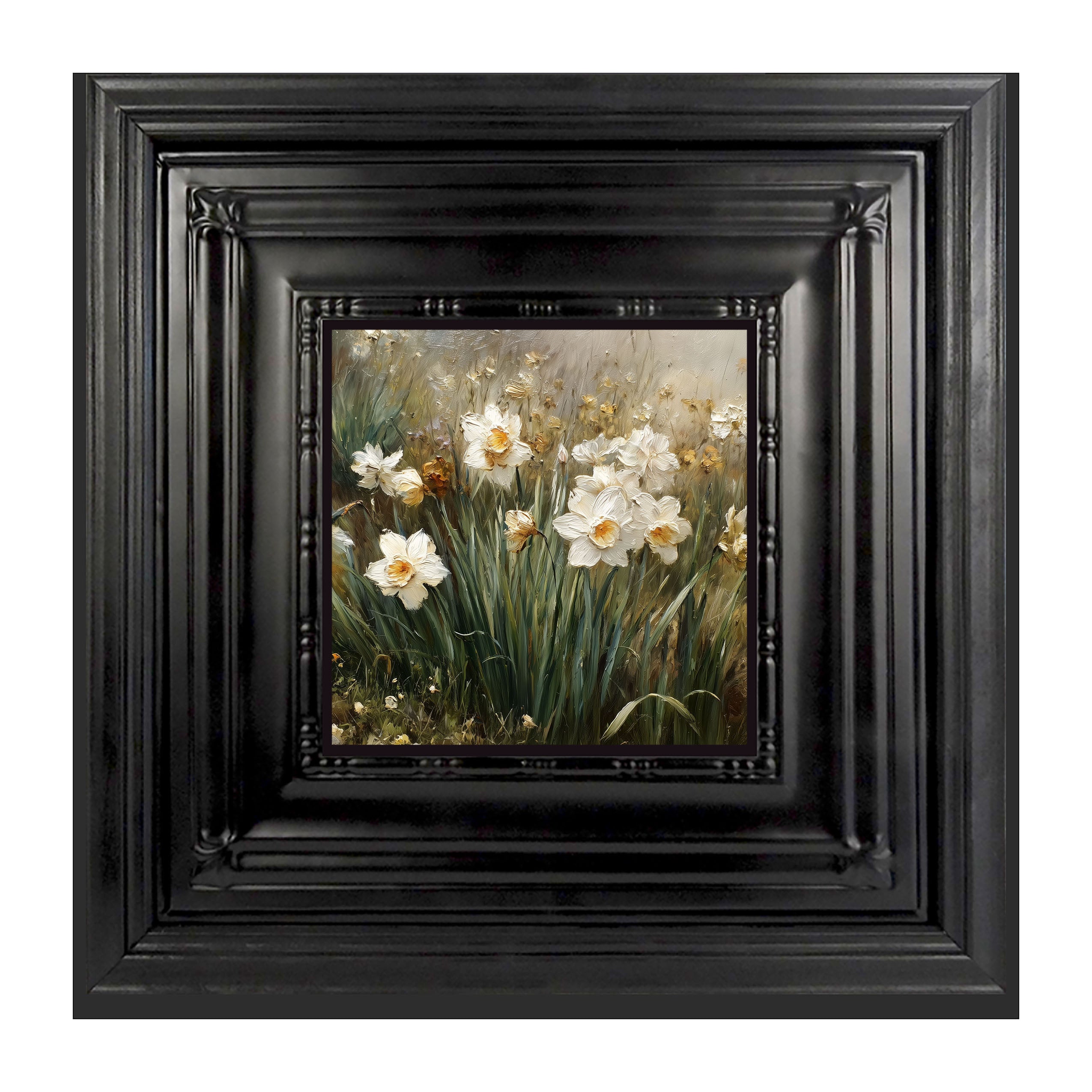 Patch of White Daffodils