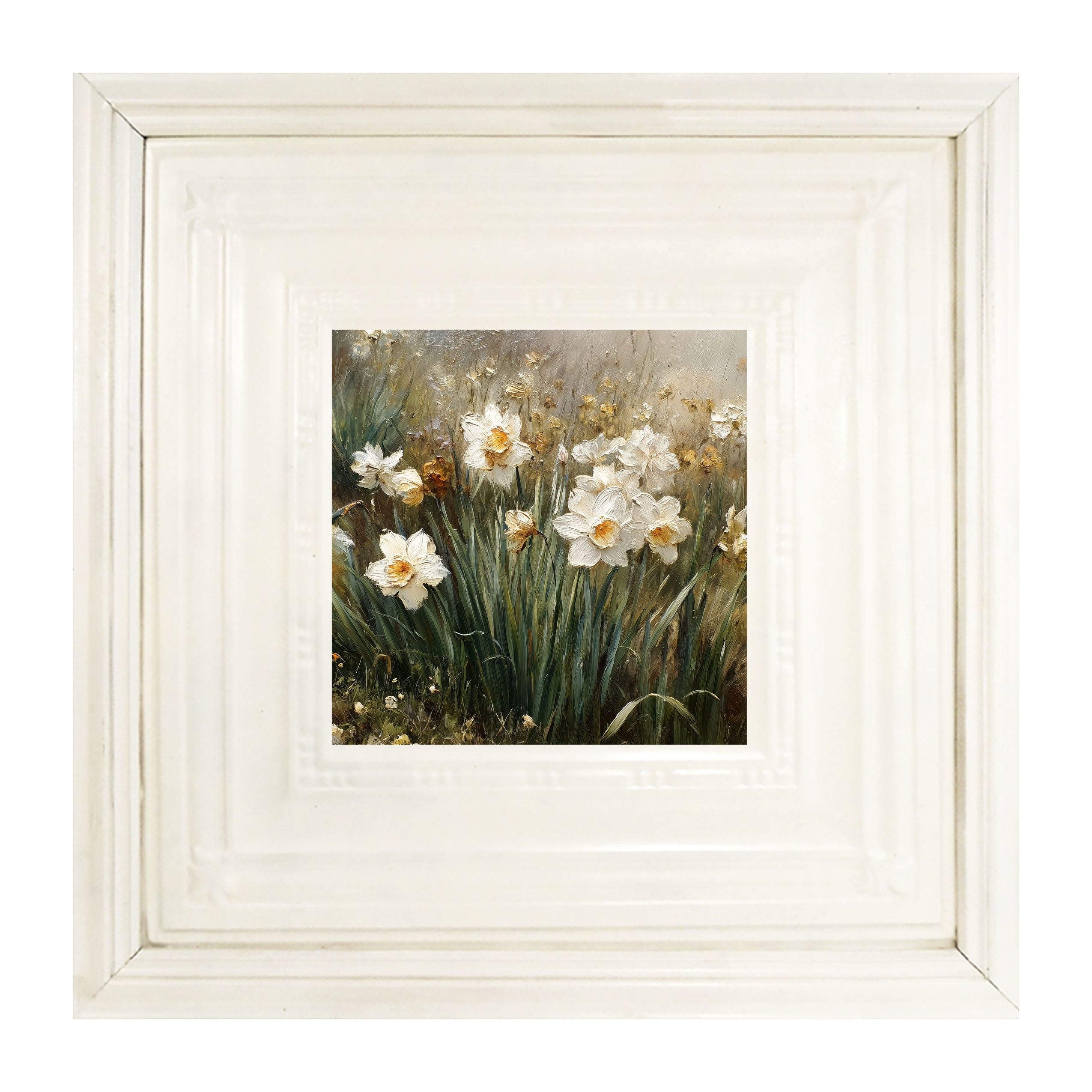 Patch of White Daffodils