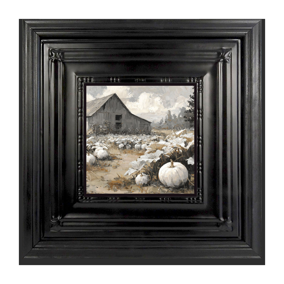 White Pumpkins in Field