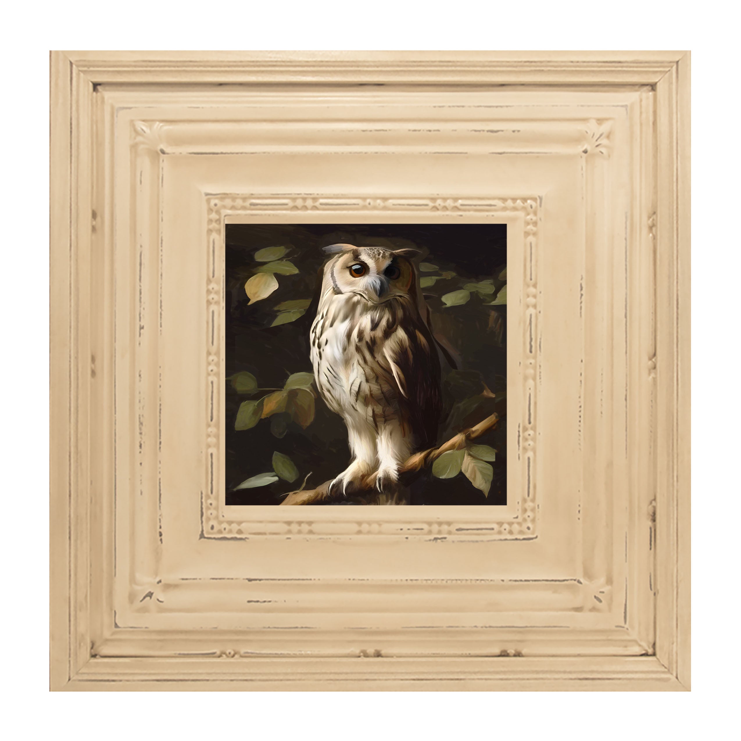 Gray and White Owl
