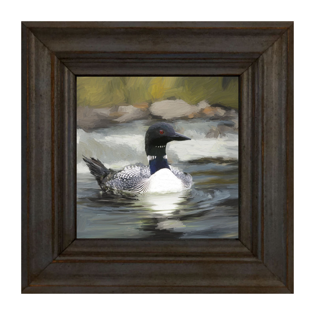 Loon in the Water