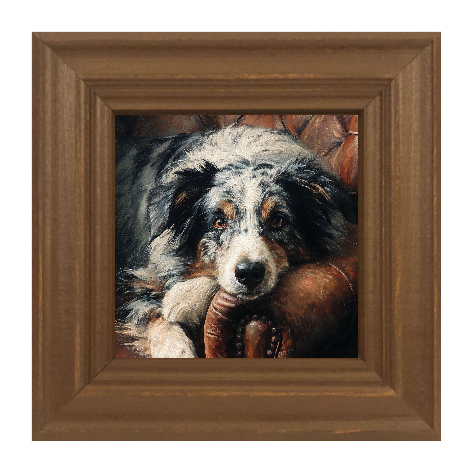 Armchair with Australian Shephard Dog