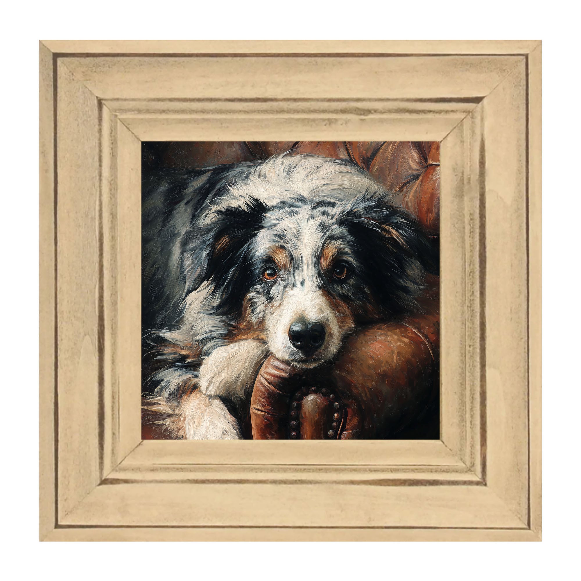 Armchair with Australian Shephard Dog