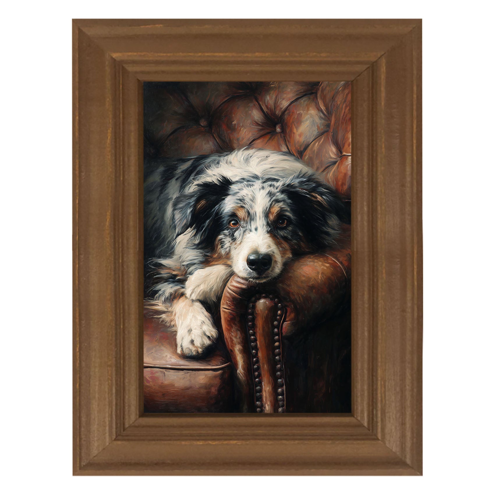 Armchair with Australian Shephard Dog