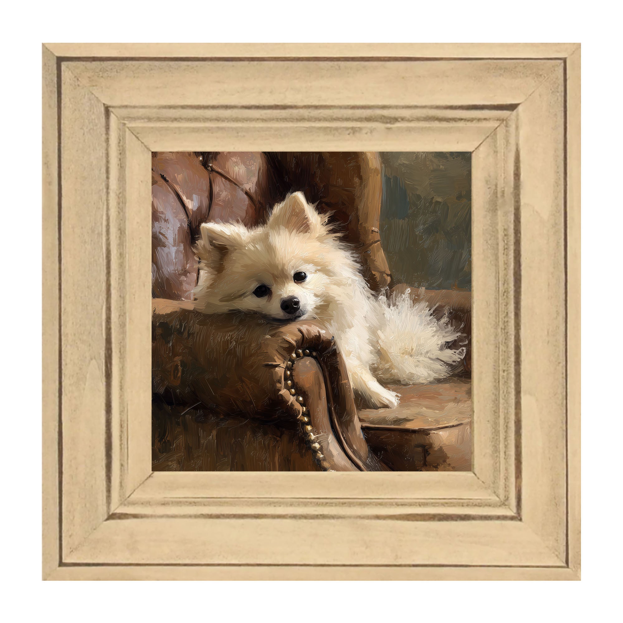Armchair with Pomeranian Dog