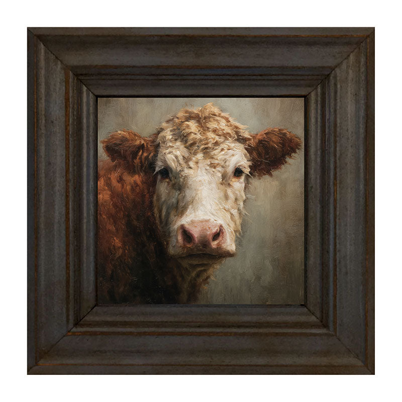 Farm Life Portrait - Brown and White Cow Close-up