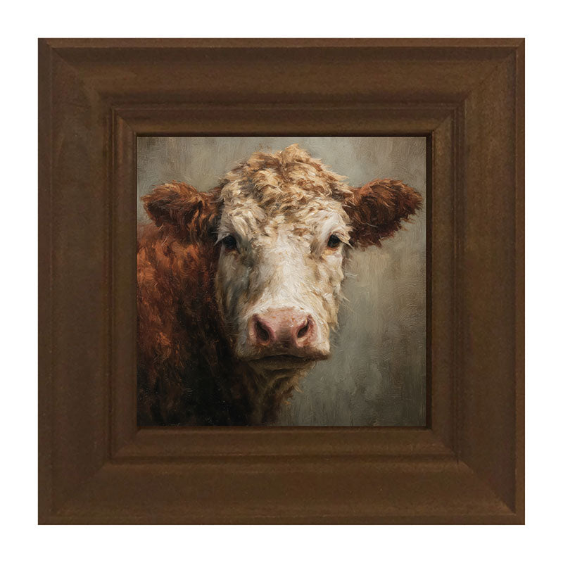 Farm Life Portrait - Brown and White Cow Close-up