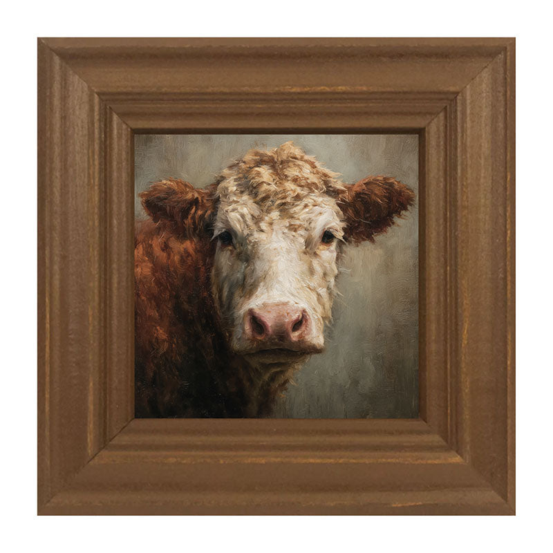 Farm Life Portrait - Brown and White Cow Close-up