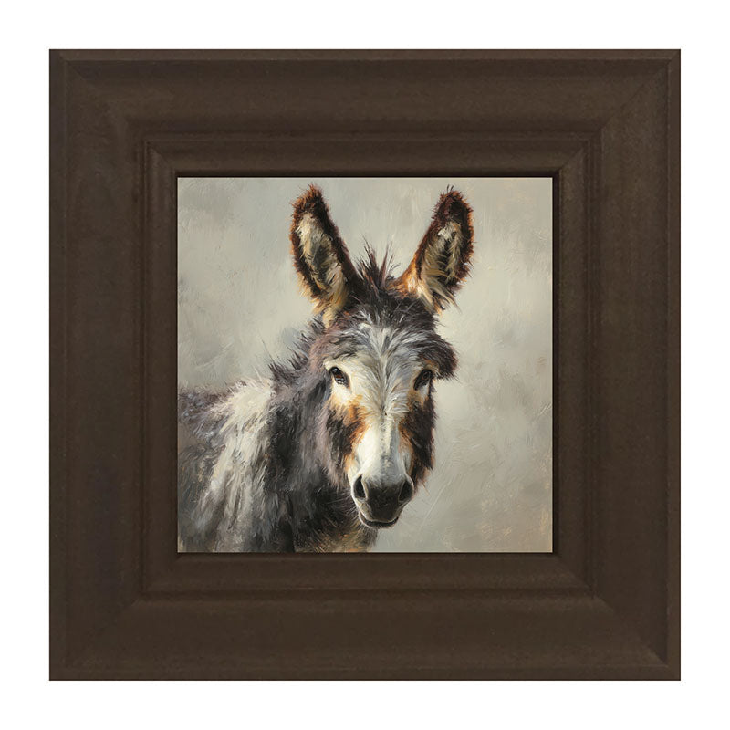 Farm Life Portrait - Donkey Close-up