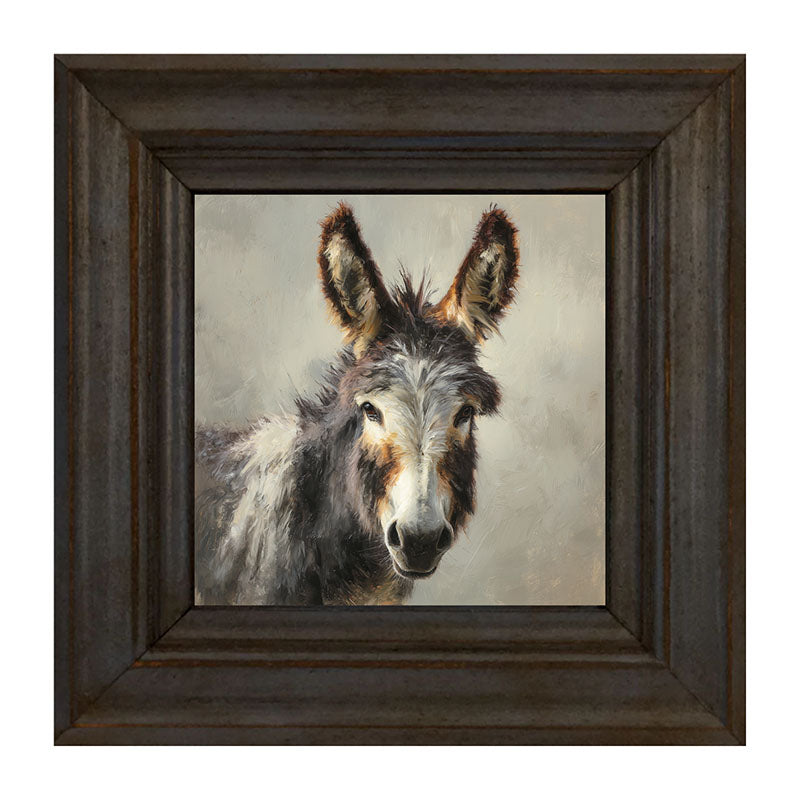 Farm Life Portrait - Donkey Close-up